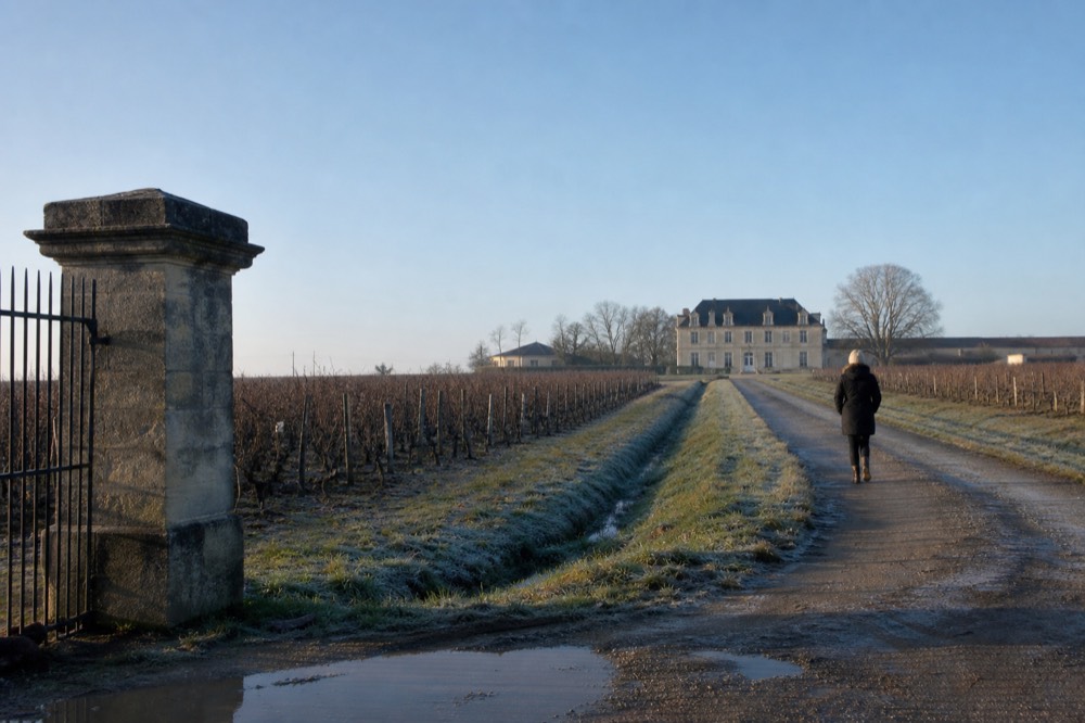 Stone gate and driveway leading to a chateau surrounded by vineyards, no text, no logos, no people