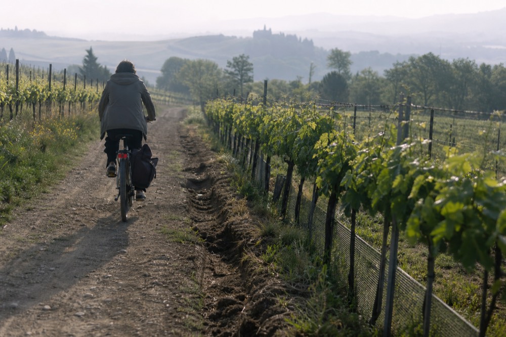 Vineyard path with a cyclist passing between rows of vines near Saint-Emilion, no text, no logos, no people