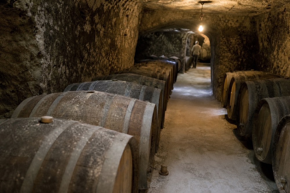 Barrel cellar with oak barrels in a Saint-Emilion chateau, no text, no logos, no people.