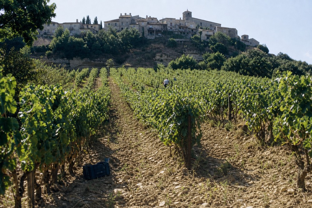 Limestone slope vineyard above a medieval stone village, no text, no logos, no people