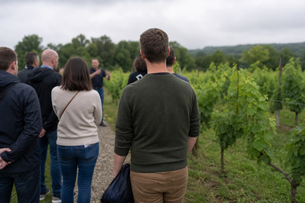 Small group standing among vineyard rows during a guided wine tour, no text, no logos, no people